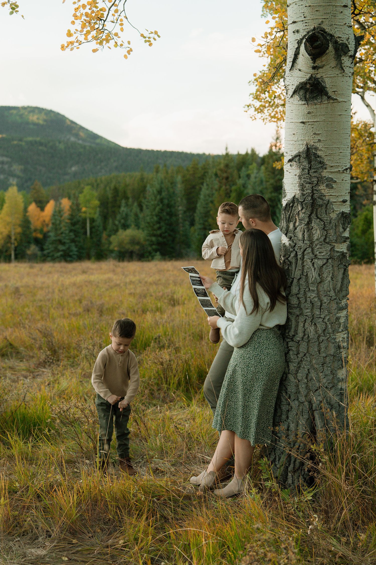 Family of four enjoying autumn outdoors near birch tree in mountain meadow with colorful fall foliage.