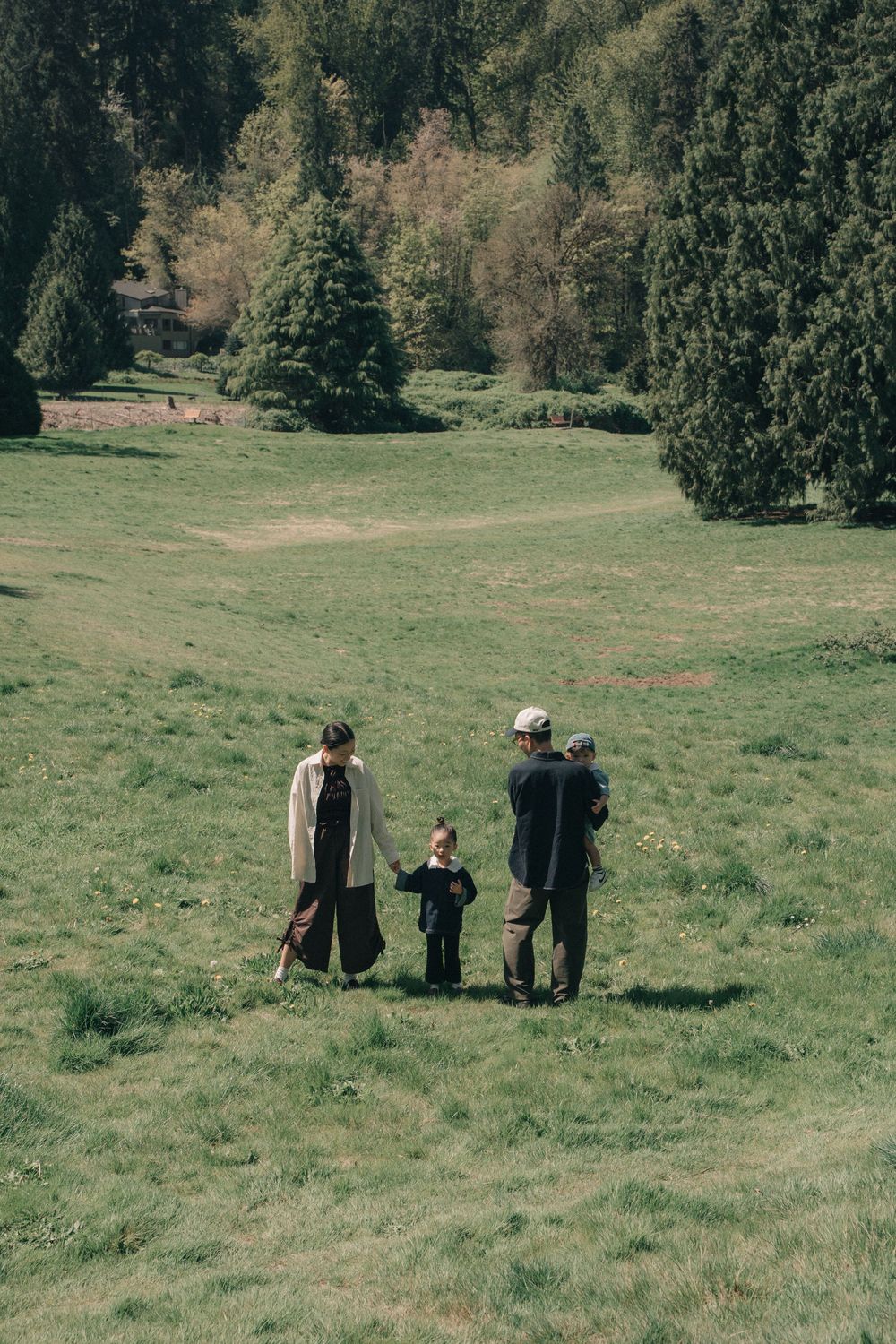 Family of four walking on green meadow surrounded by pine trees on a sunny day.
