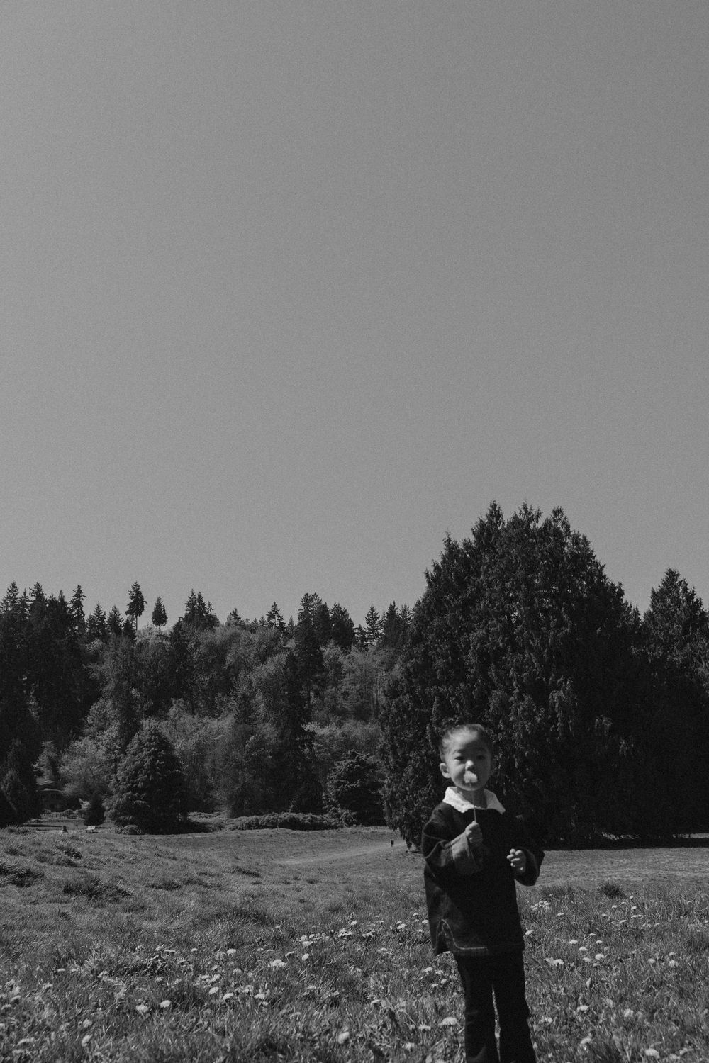 Black and white photo of a child standing in a meadow with tall pine trees in the background under a clear sky.