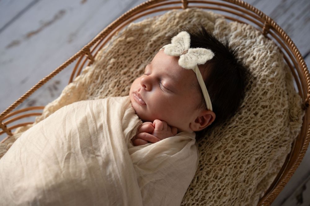 posed newborn photography Wollongong NSW