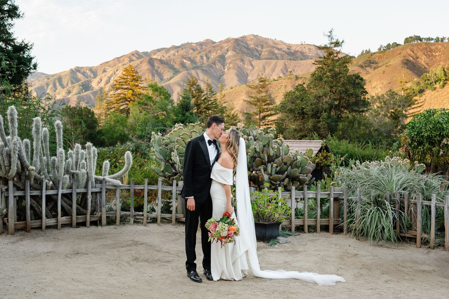 Bride and groom pose in front of cactus garden with golden mountain backdrop at outdoor wedding.