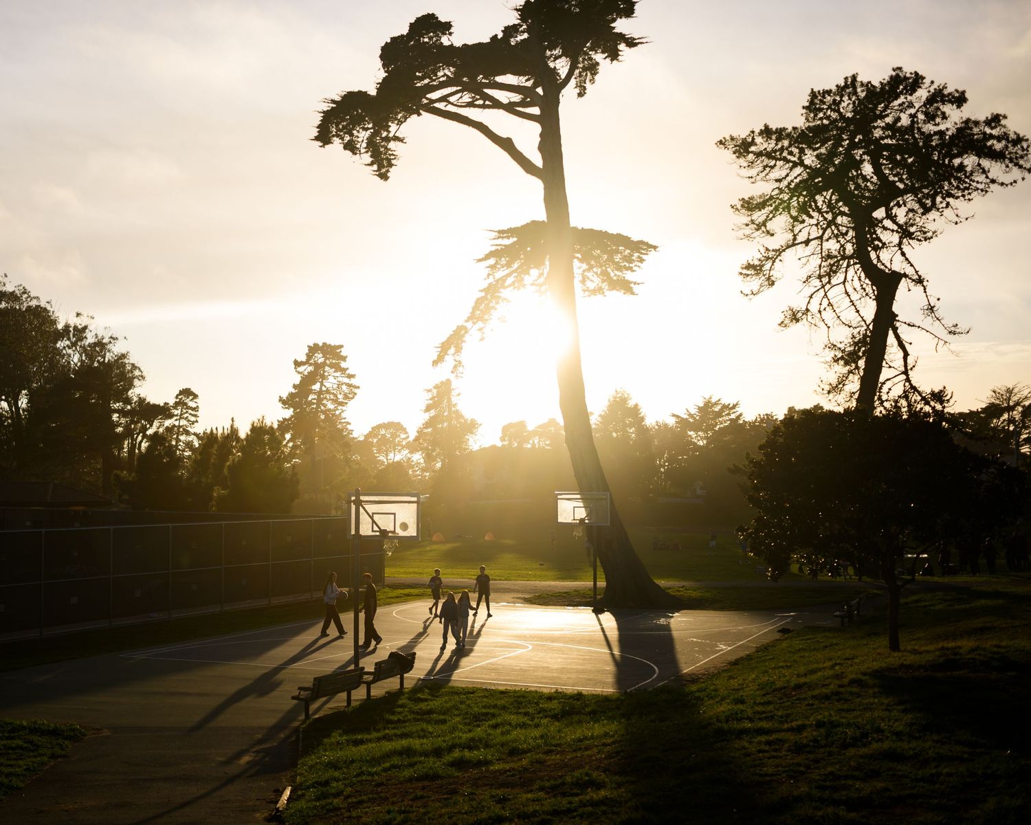 Misty San Francisco park at dusk with tall trees, green lawn, and residential buildings under overcast skies.