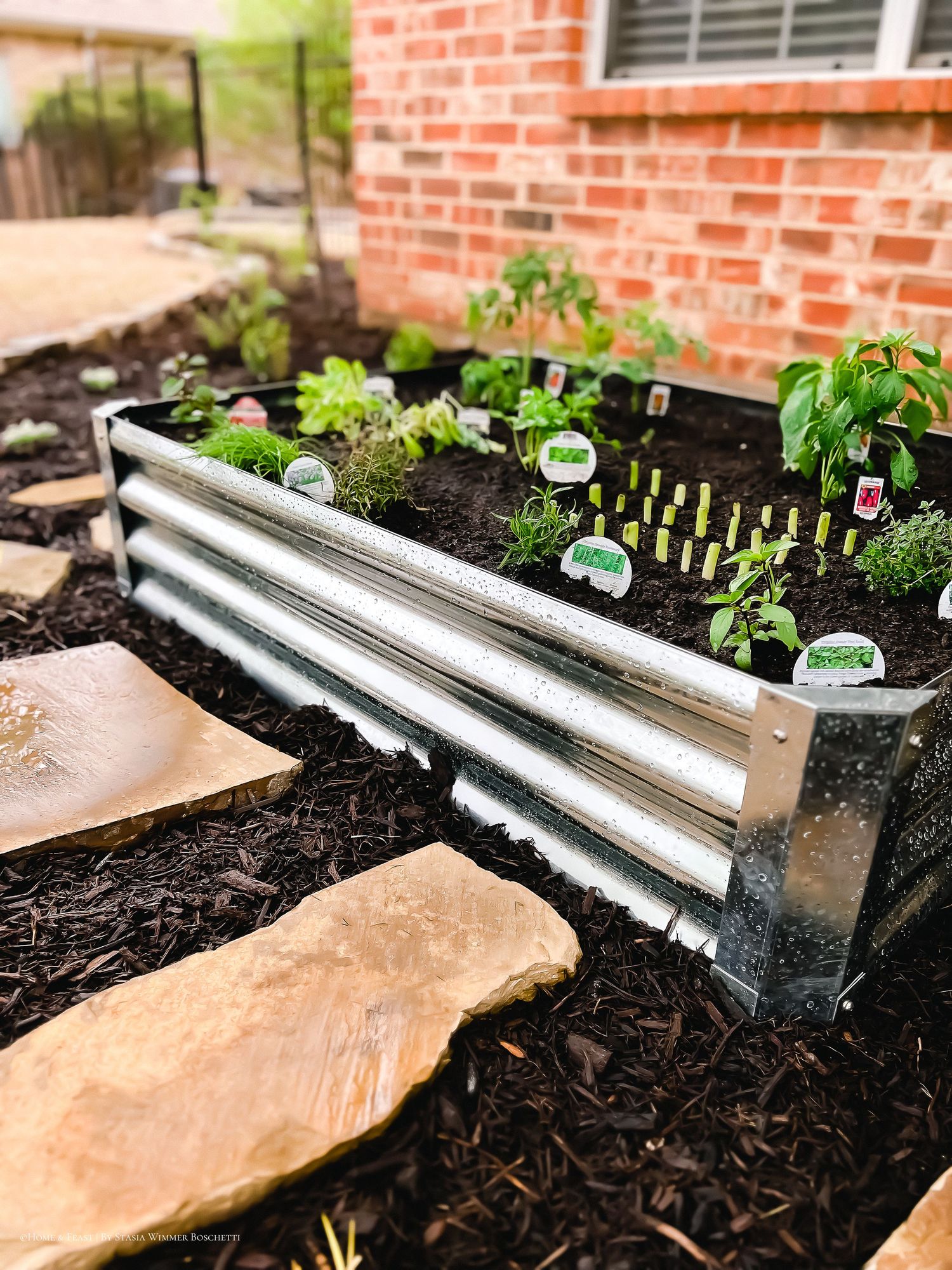 Galvanized raised garden bed with herbs and vegetables growing in dark soil, placed against a brick wall outdoors.