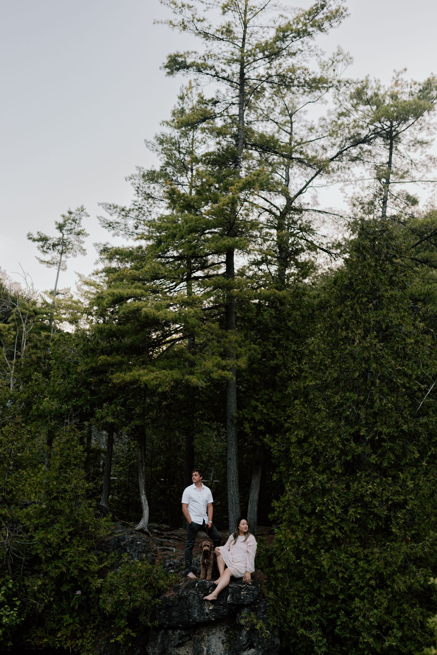 Couple sitting on rocky outcrop surrounded by tall pine trees in a lush forest during an outdoor engagement session.