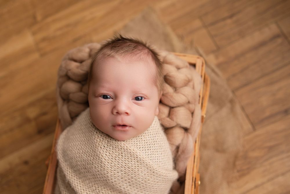 newborn photography Waukesha County Wisconsin family photographer.