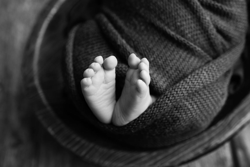 newborn photography Jefferson County Wisconsin family photographer.