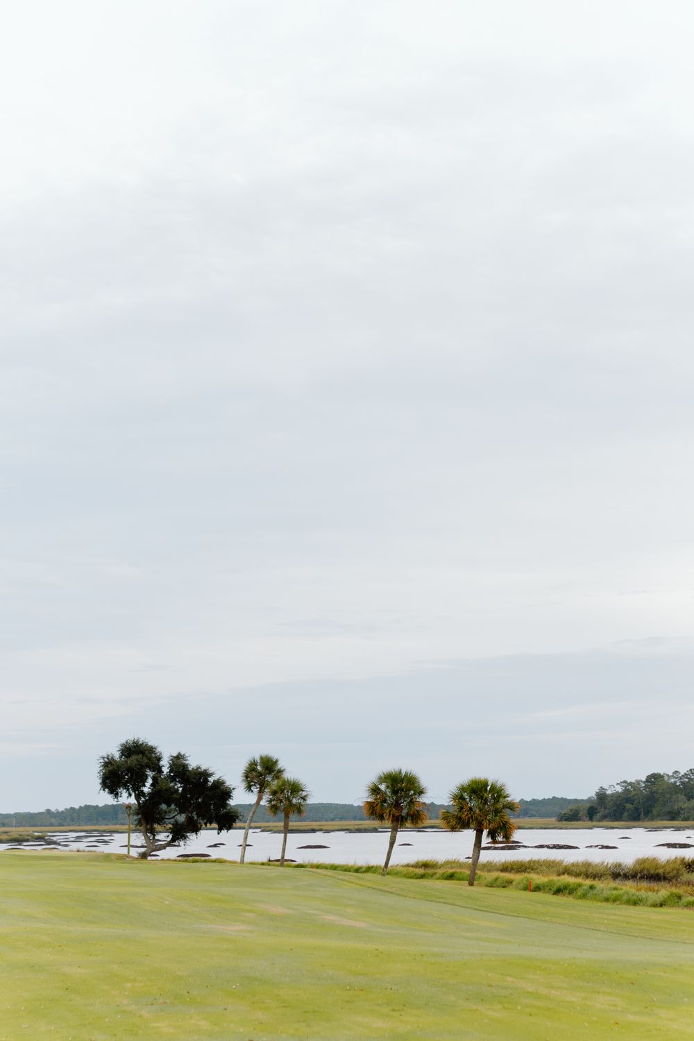 Scenic coastal golf course landscape with palm trees, green fairway, and calm water under an overcast sky.