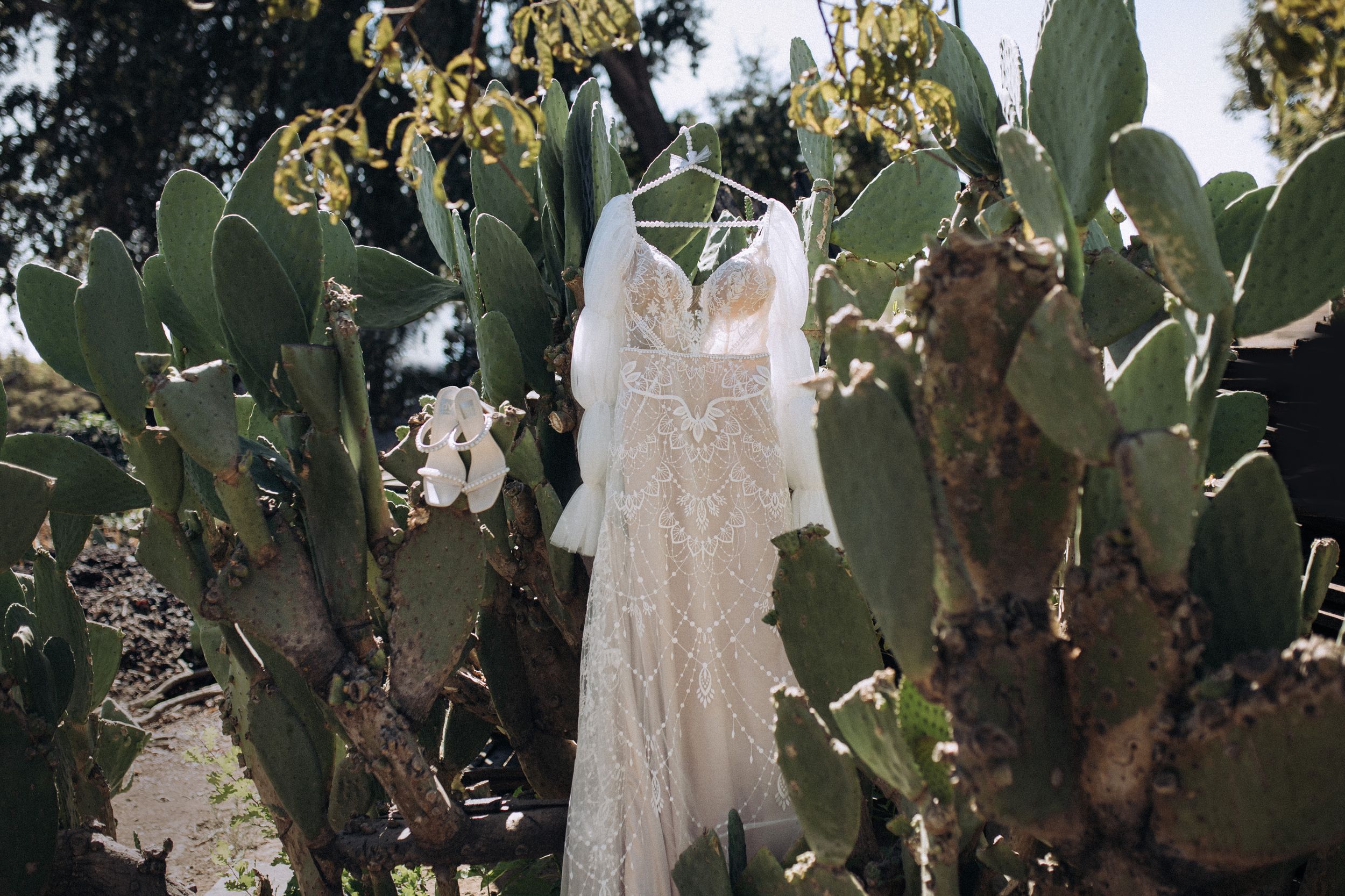 Western Wedding dress cactus Northern California