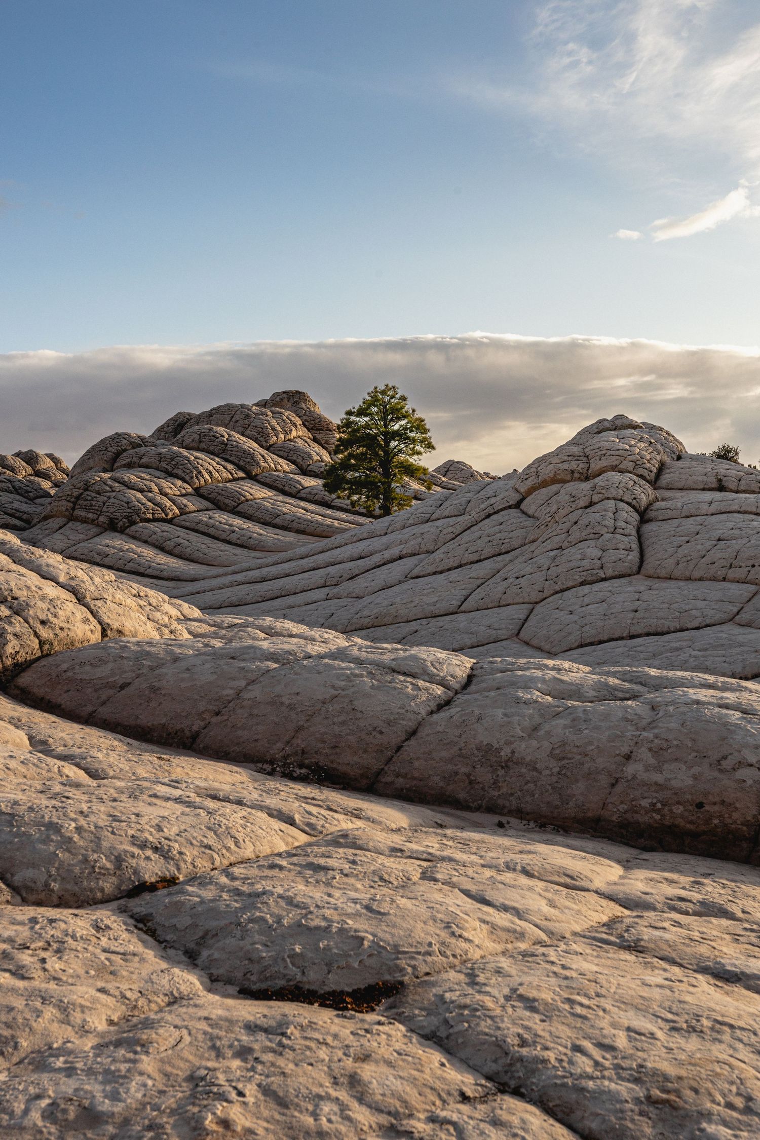 Panoramic view of layered sandstone rock formations in White Pocket, Arizona during golden hour sunset.