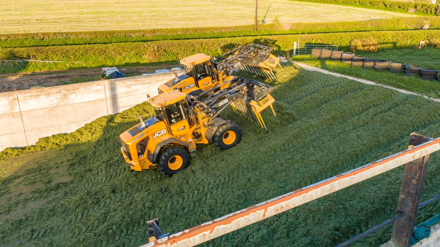 Yellow wheel loader compacting fresh green silage in a farm bunker silo during harvest season.