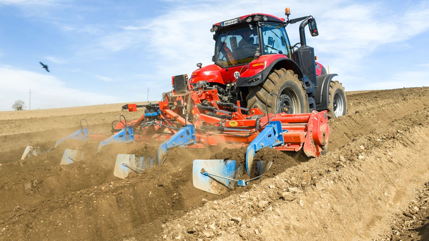 Red tractor plowing a field with blue cultivator attachment on a sunny day in an open agricultural landscape.