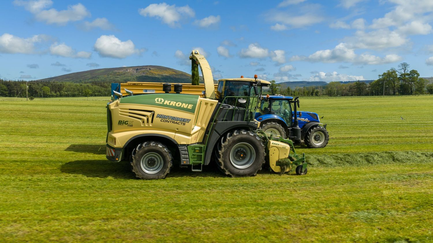 A large green forage harvester and blue tractor harvesting silage in a lush green field under a blue sky.