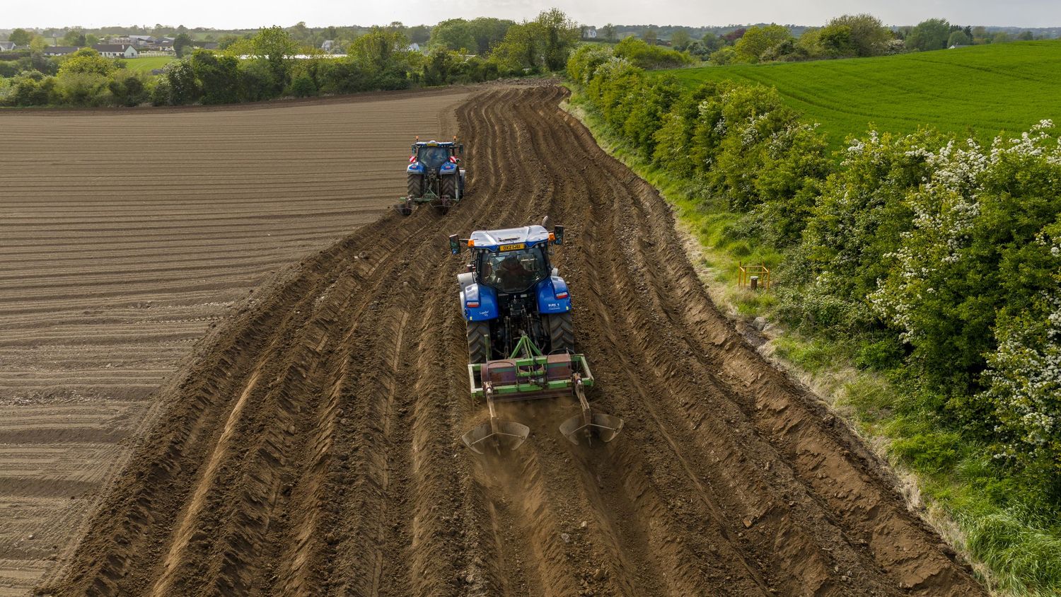 Two blue tractors plowing and seeding a large agricultural field bordered by green hedgerows in spring.