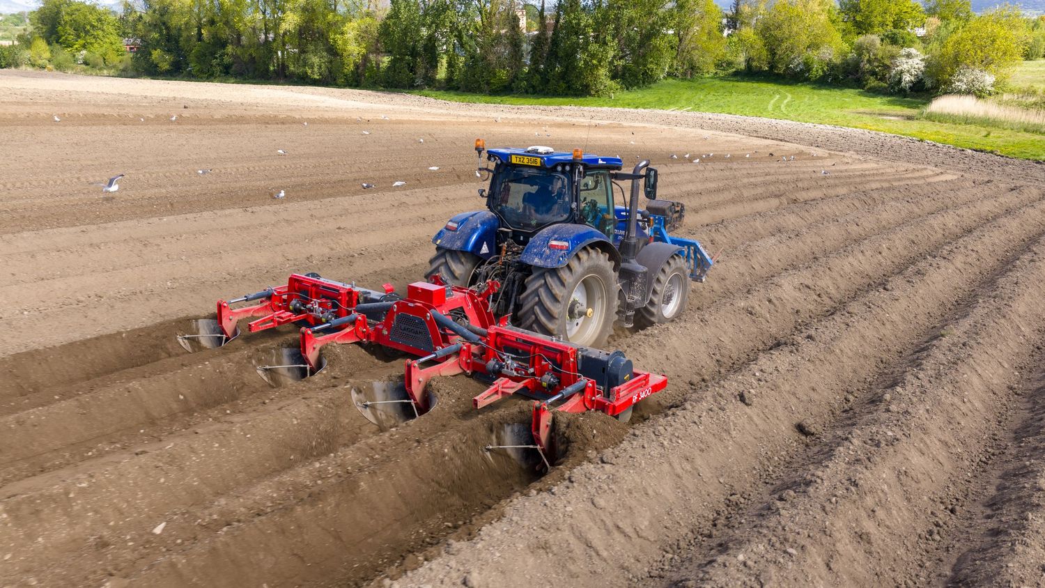 Blue tractor with red cultivator attachment tilling a large agricultural field in spring.