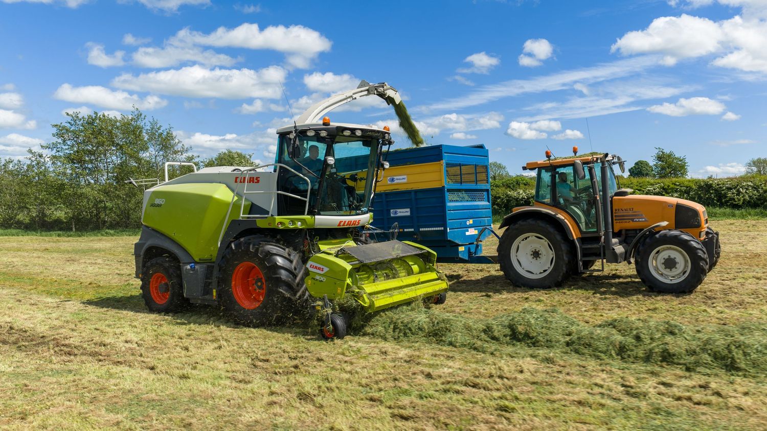 Green CLAAS forage harvester collecting grass alongside a yellow tractor in a sunny field.