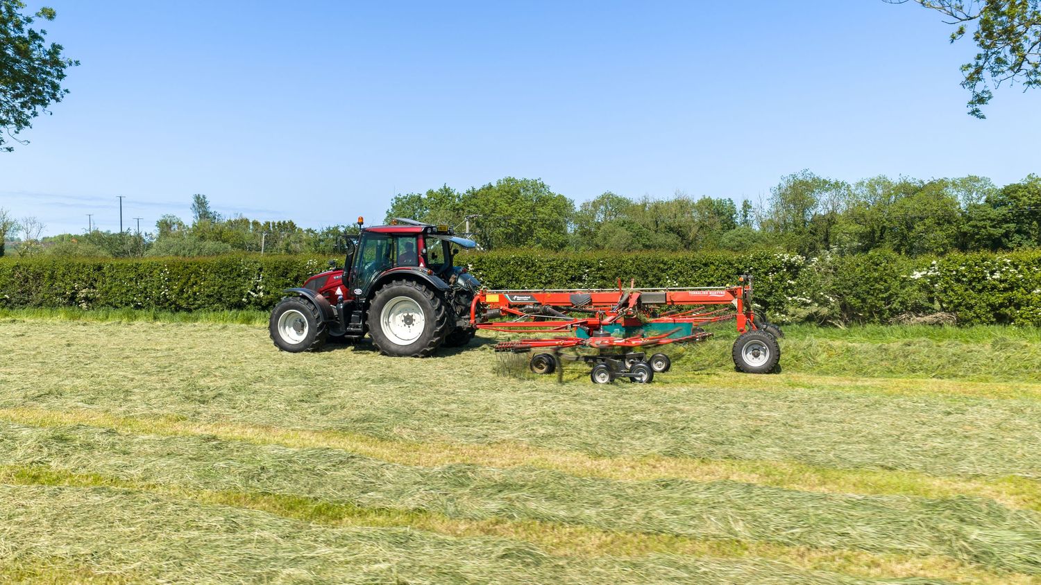 Red tractor with hay rake attachment tedding cut grass in a green field on a sunny day.