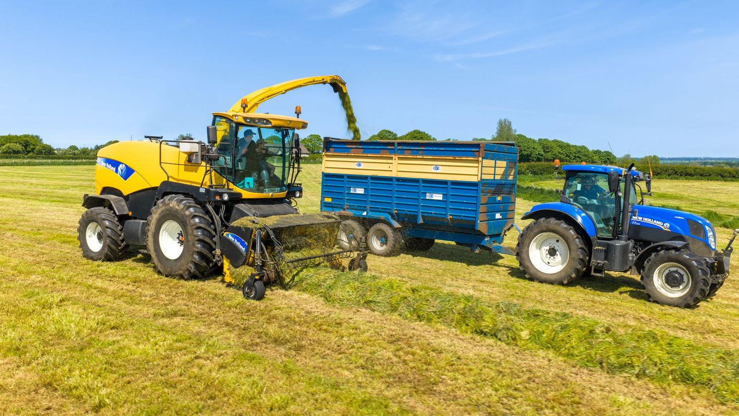 Yellow New Holland forage harvester collecting grass alongside a blue tractor with trailer in a sunny green field.