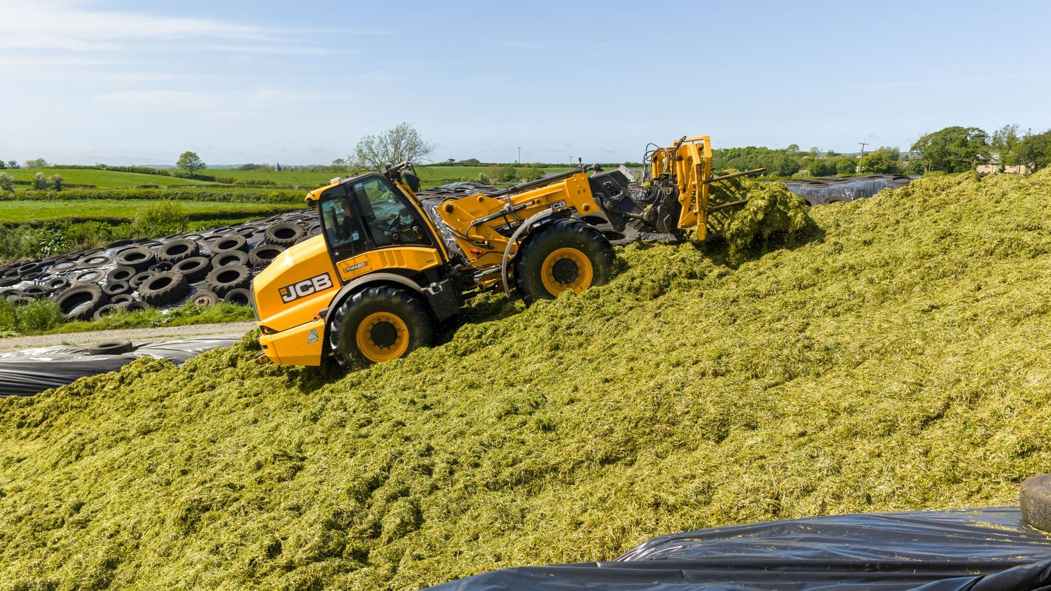 JCB yellow wheel loader compacting green silage on a farm clamp with tires visible in the background.