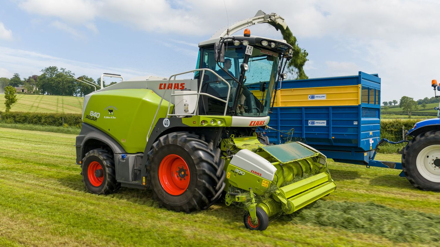A green CLAAS forage harvester working in a lush field beside a blue trailer on a sunny day.