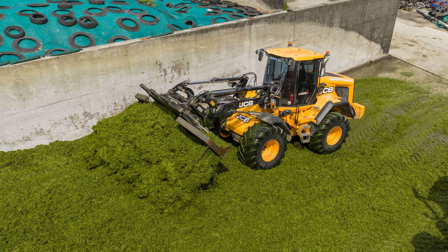 Yellow wheel loader harvesting bright green algae in an outdoor cultivation pond facility.