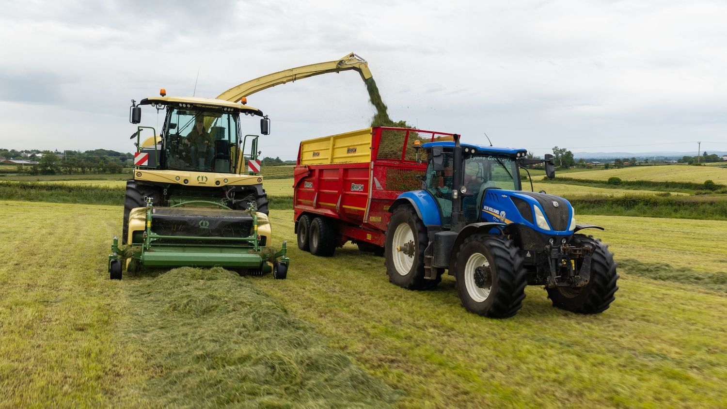 Green forage harvester and blue New Holland tractor with red trailer harvesting silage in a lush green field.