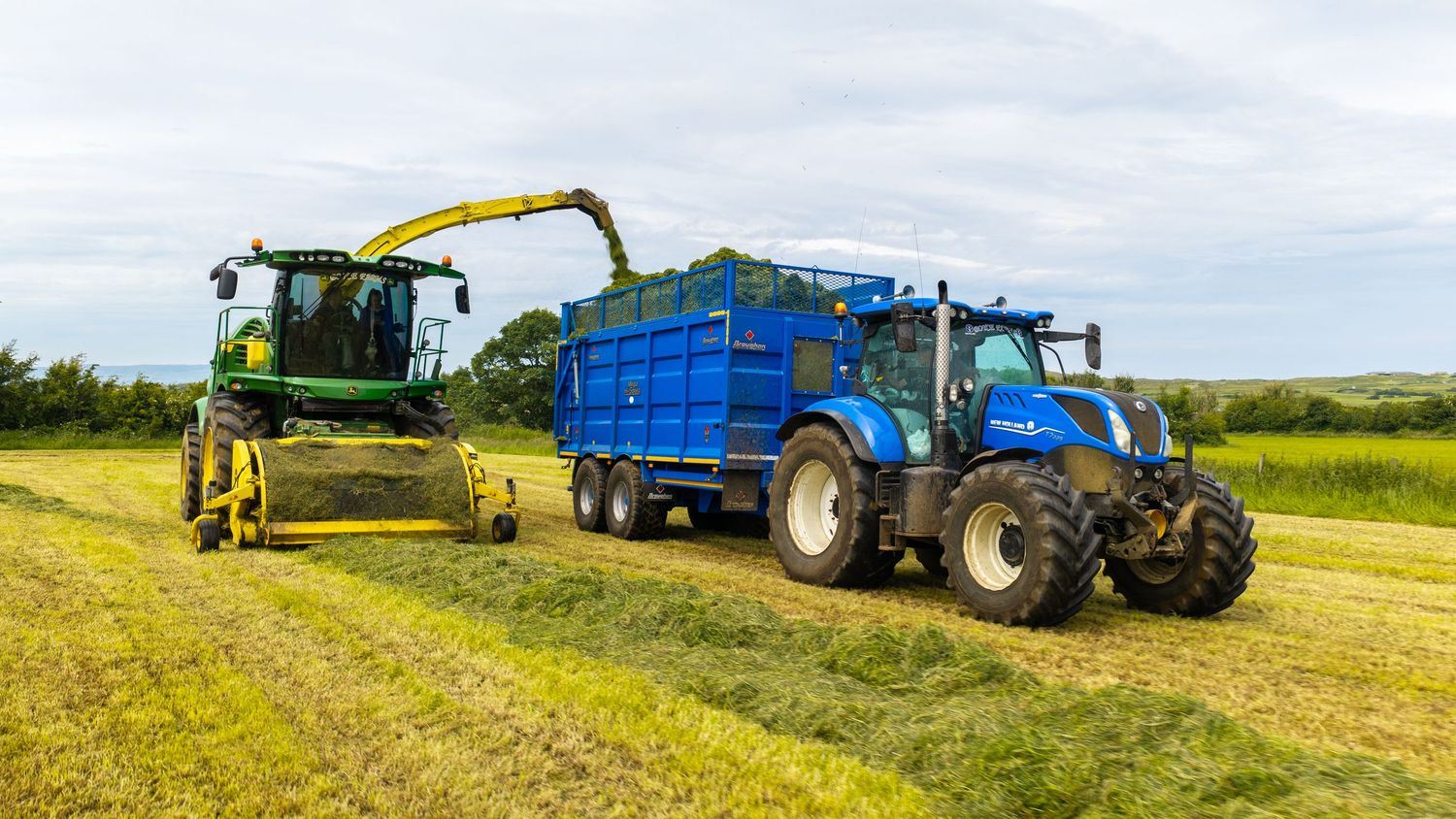 Green John Deere forage harvester transferring cut grass into a blue New Holland tractor trailer in a farm field.