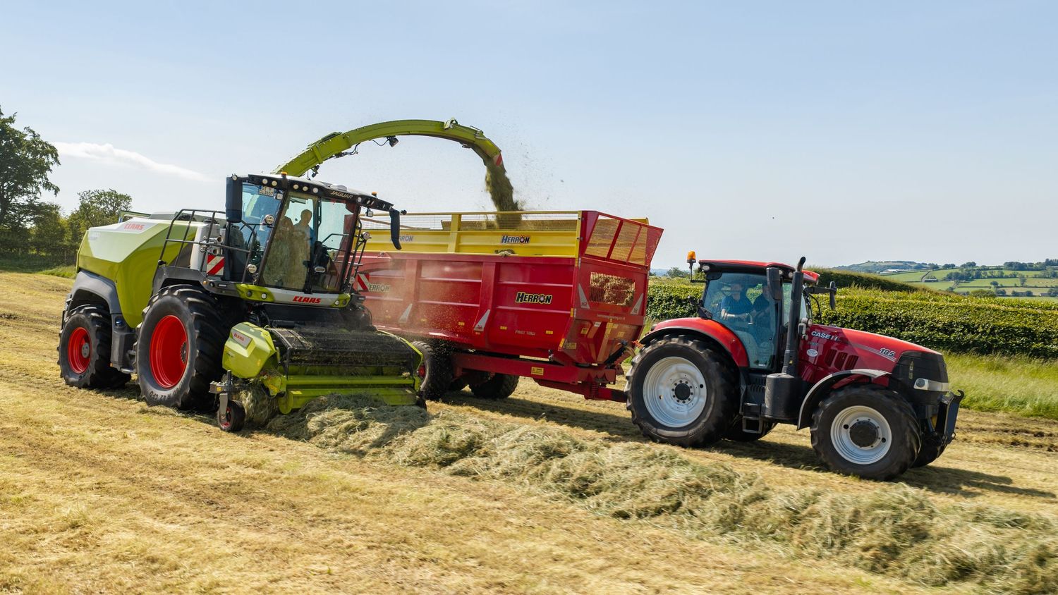 Green forage harvester and red tractor working together in a sunny field during hay harvesting season.