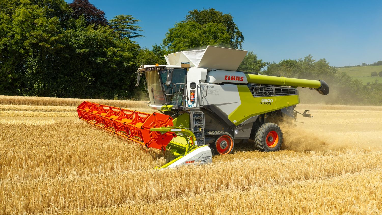 A CLAAS combine harvester cutting wheat in a sunny field, kicking up dust during harvest season.