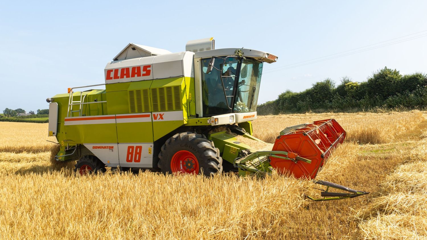 CLAAS combine harvester cutting golden wheat in a sunny field.