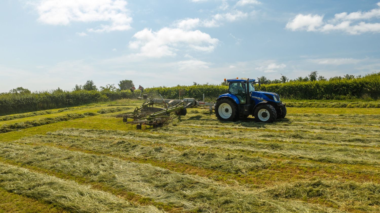 Blue New Holland tractor raking fresh cut hay in a green farm field under a partly cloudy sky.
