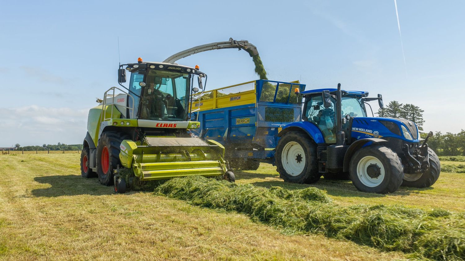 A green Claas forage harvester and blue New Holland tractor working together in a sunny field during hay harvesting.