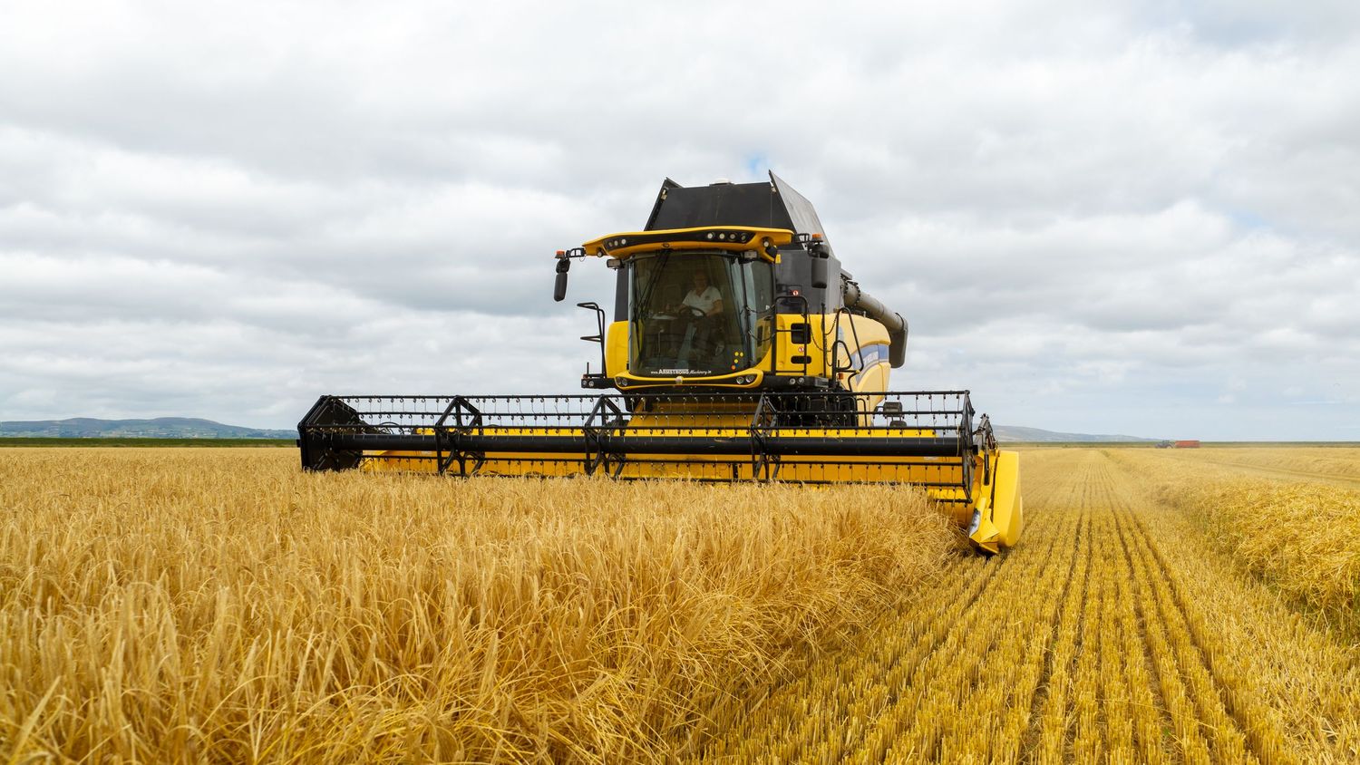 Yellow combine harvester cutting through golden wheat field under cloudy sky during harvest season.