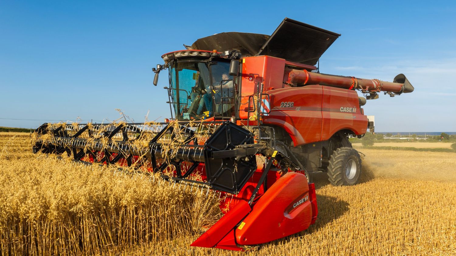 Red combine harvester cutting golden wheat in a sunny field under a clear blue sky.