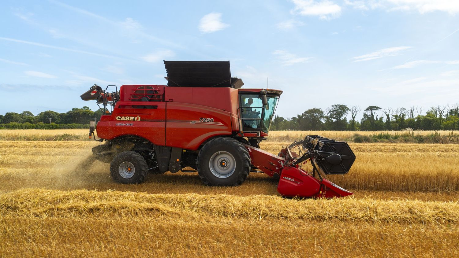 Red Case IH combine harvester cutting wheat in a sunny field with blue sky and trees in the background.