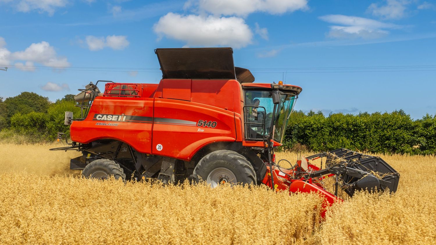 A red Case IH combine harvester working in a golden wheat field under a bright blue sky with white clouds.