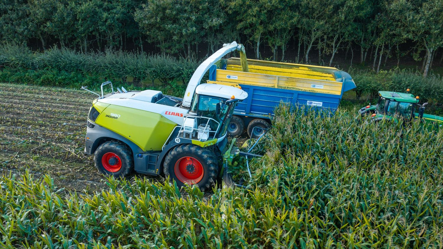 CLAAS forage harvester collecting crops in a green field, with a blue trailer alongside during harvest.