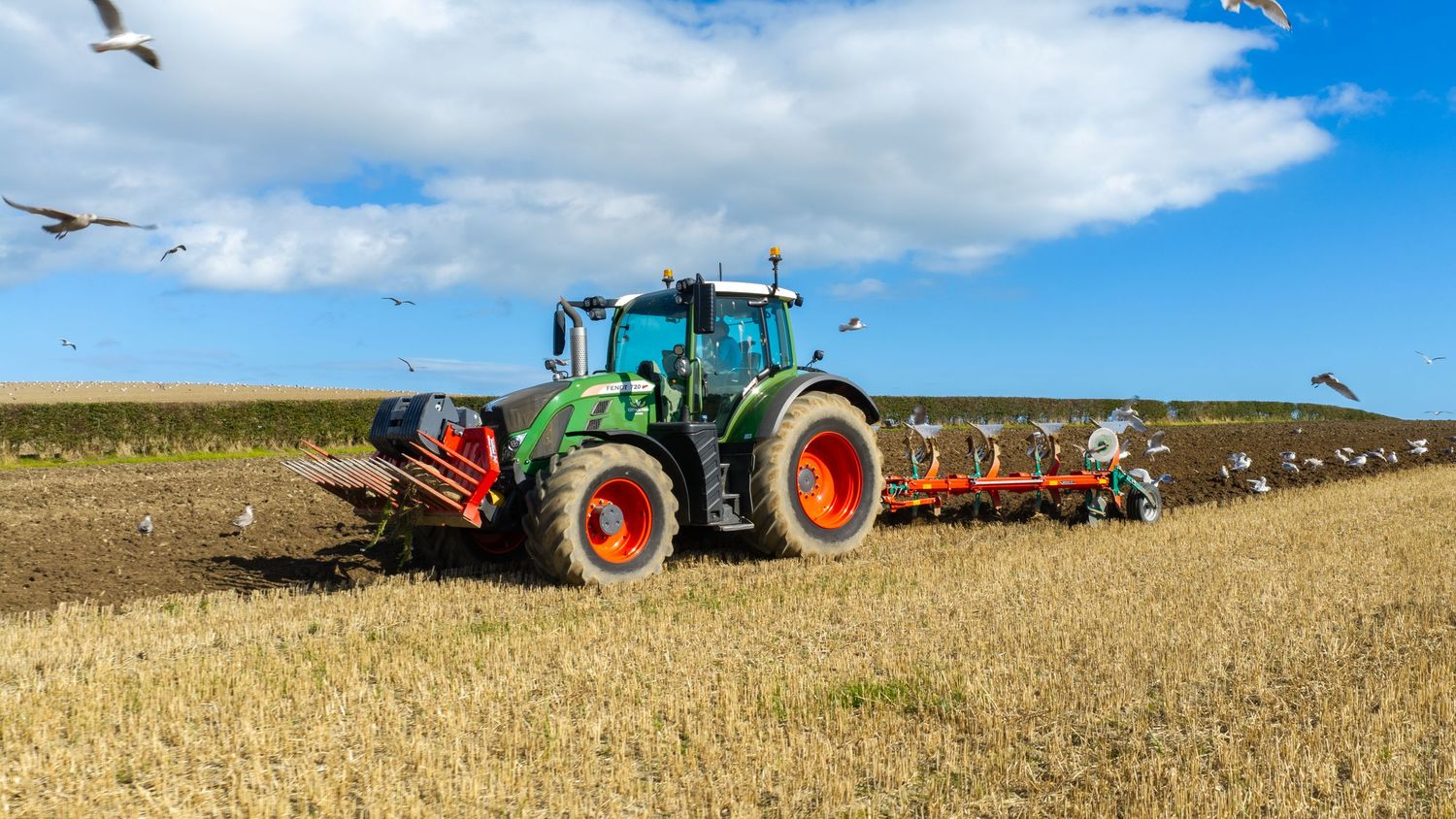 Green tractor plowing a field with seagulls flying overhead under a blue sky with white clouds.