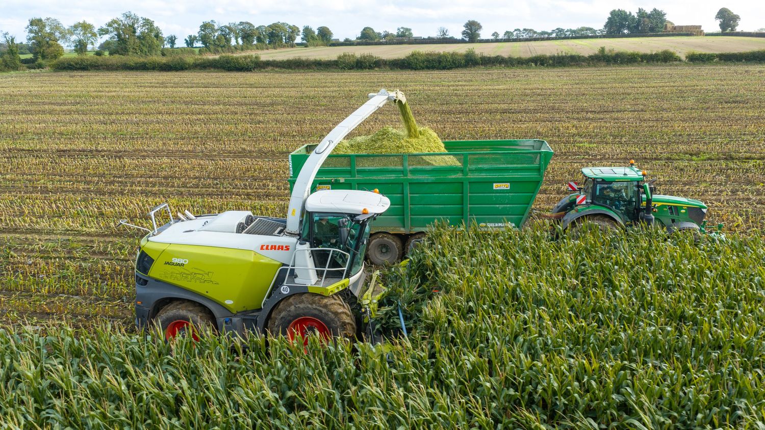 CLAAS forage harvester collecting corn silage into a green trailer towed by a tractor in a farm field.