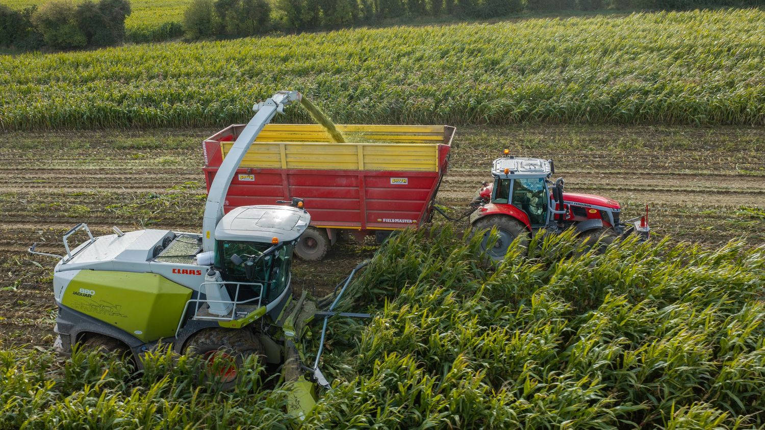 Green harvester collecting crops into yellow trailer pulled by red tractor in lush farm field aerial view.