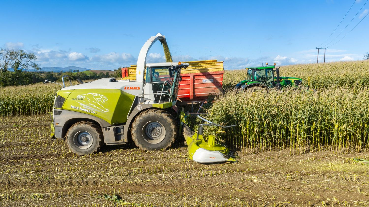 CLAAS forage harvester cutting corn in a field with a green tractor and trailer under a blue sky.