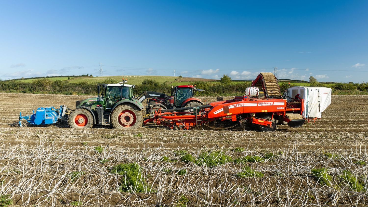 Green tractor towing a red potato harvester across a stubble field under a clear blue sky during harvest season.