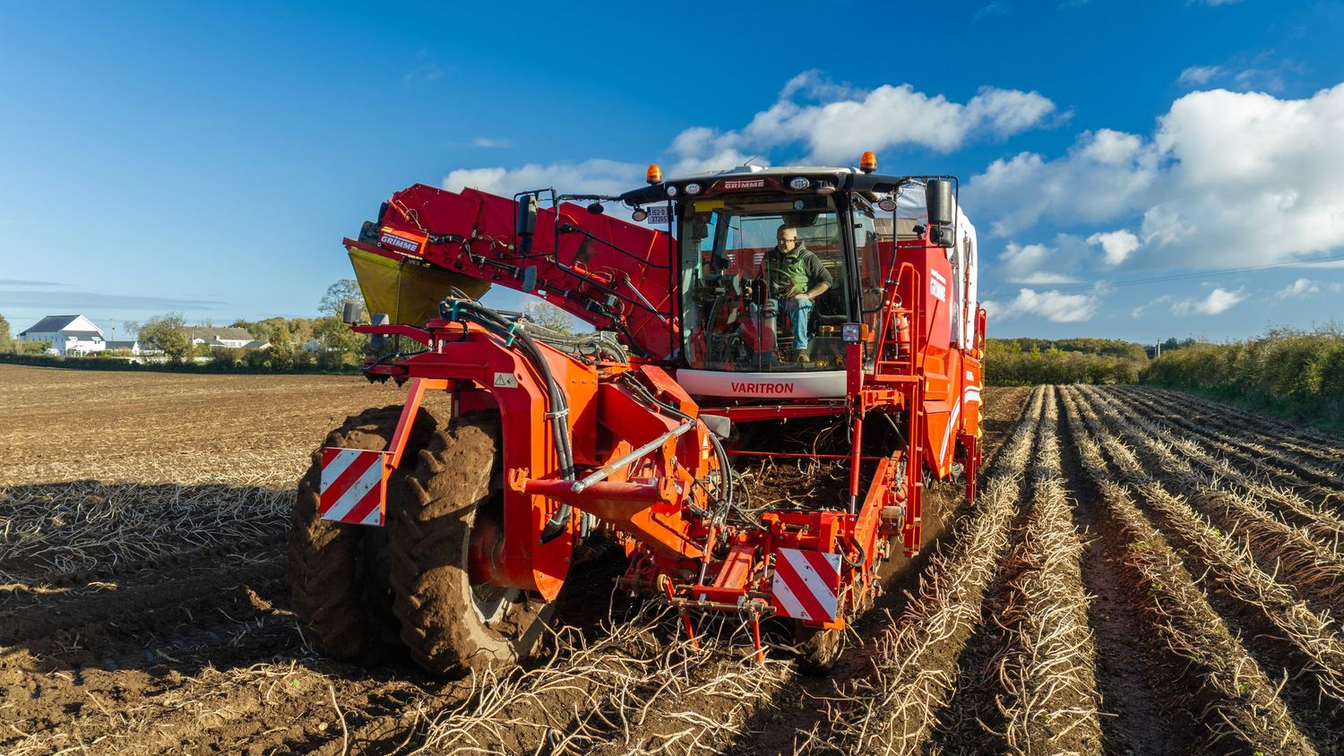Red potato harvester with an operator in the cab working through a ridged field under a blue sky with white clouds.