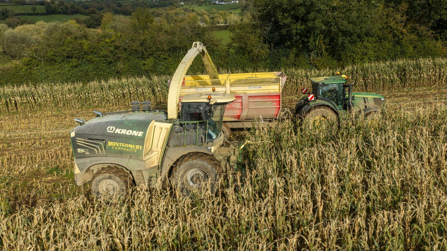 Krone forage harvester chopping corn silage in a field while a green tractor with a loaded trailer follows alongside during harvest.