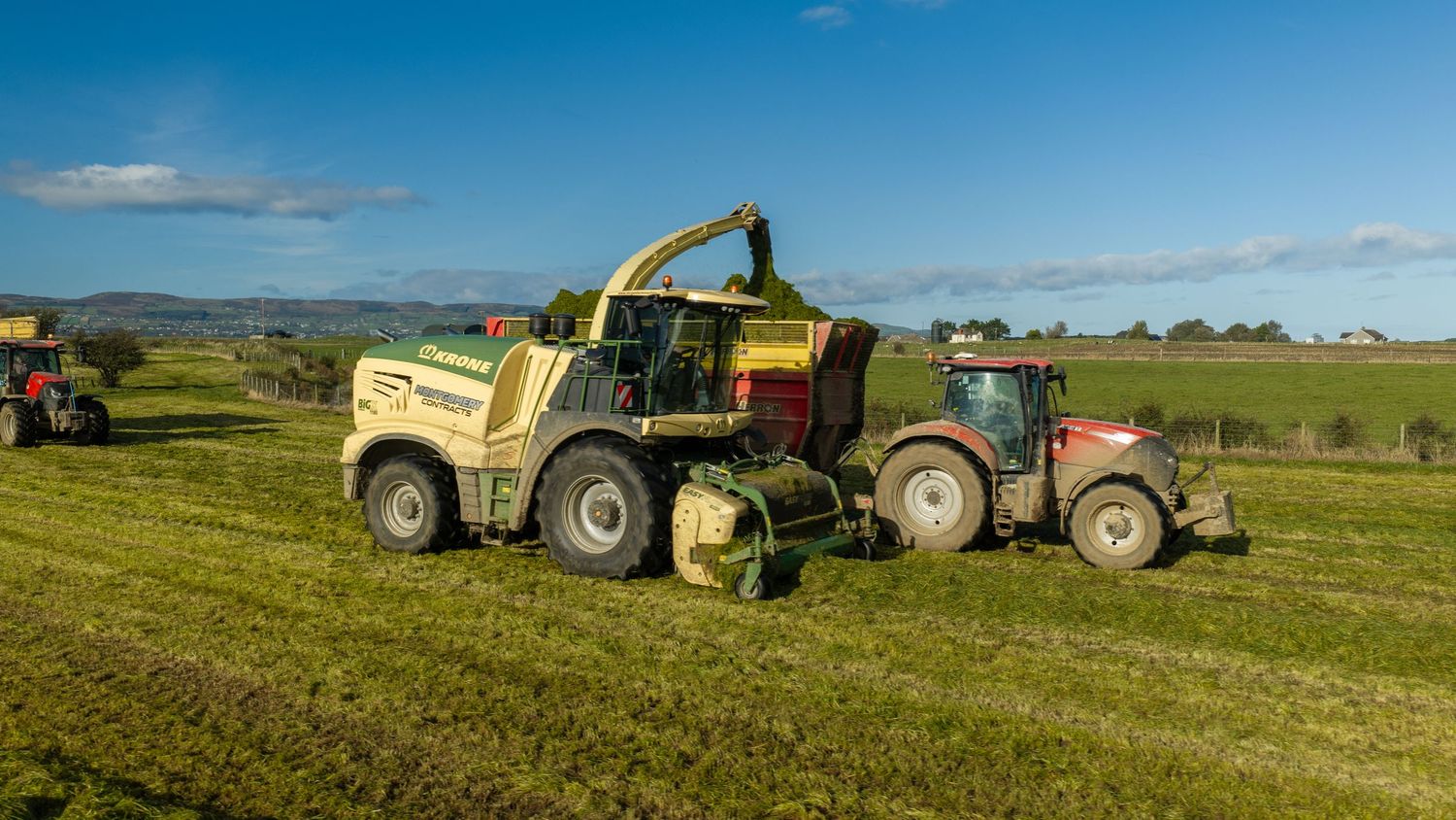 Green forage harvester and a red tractor with trailer working side by side cutting grass in a green field on a clear day.