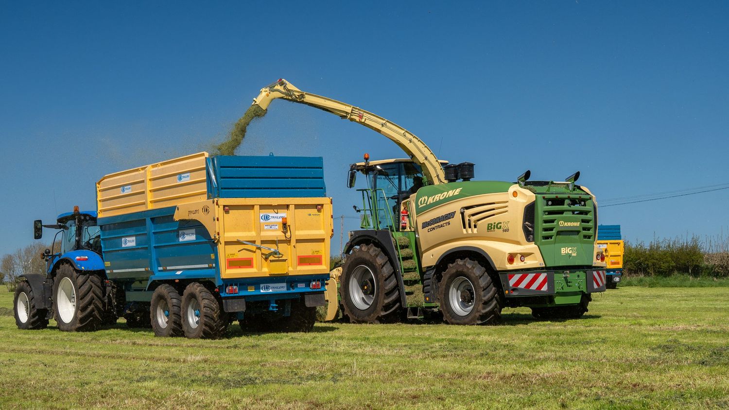 Green forage harvester transferring silage into a blue trailer pulled by a New Holland tractor in a sunny field.