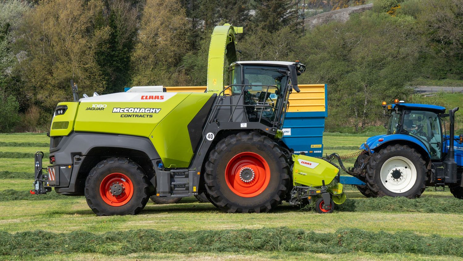 A green CLAAS forage harvester working in a field alongside a blue tractor on a sunny day.