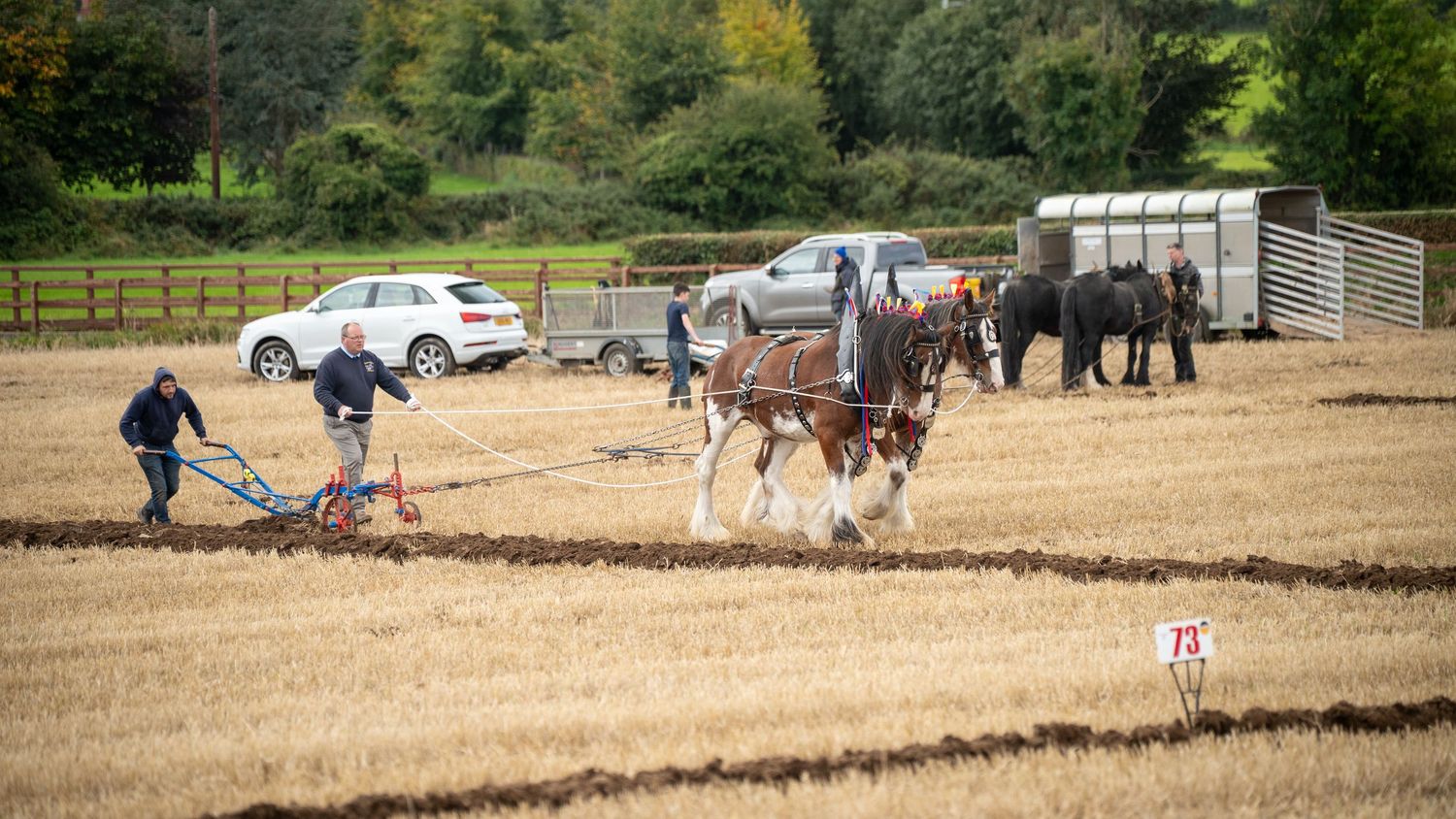 Farmers guide horse-drawn plow across harvested field at traditional plowing competition, with vehicles and fence in background.