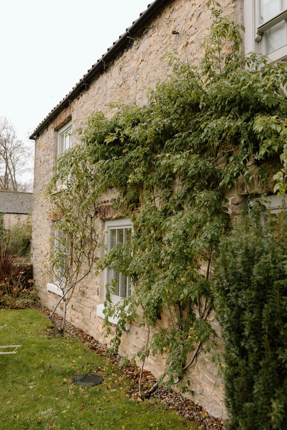 Stone cottage exterior with climbing vines and traditional architecture.