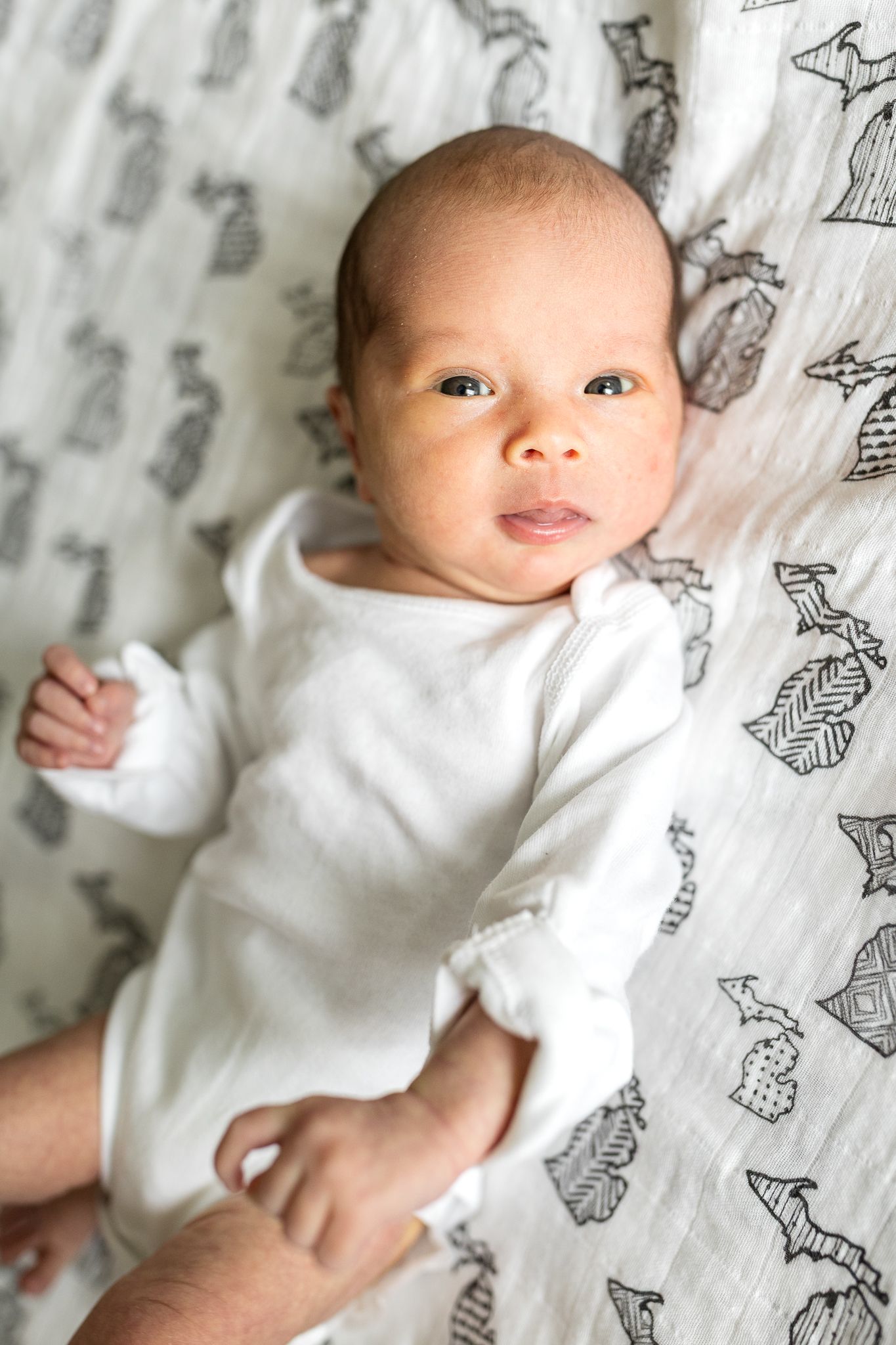 timeless newborn photos