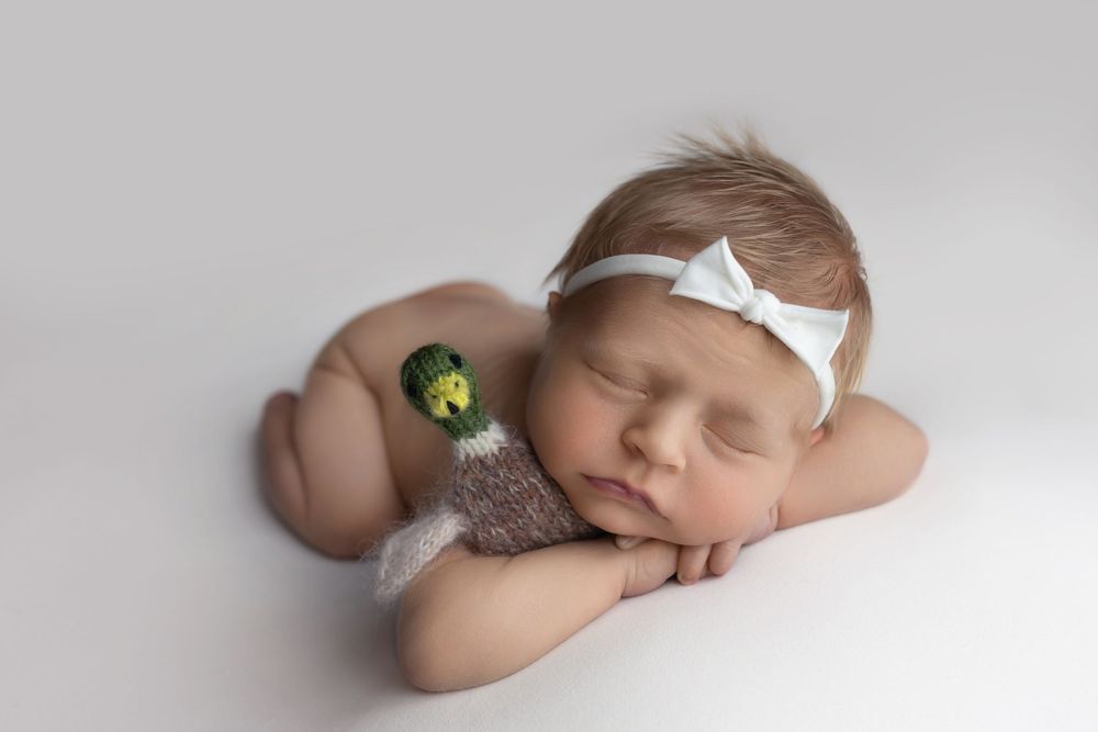 Newborn girl on white background with mallard duck lovie, taken by Jen Knightstep, Photographer